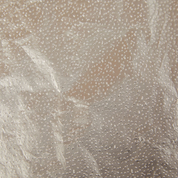 Silver dotted back side of the foil, close-up